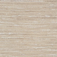 Savannah Cobble Street