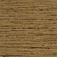 Savannah Fort Jackson