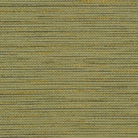 Savannah Spanish Moss