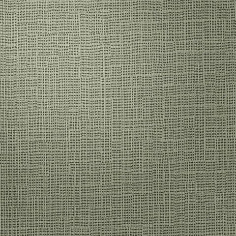 Screen Play Camera Grasscloth