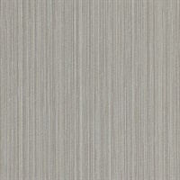 Scribble-Less Cinder