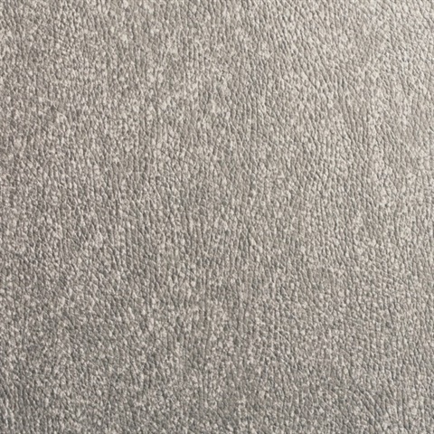 Serpent Pewter Python Snake Skin