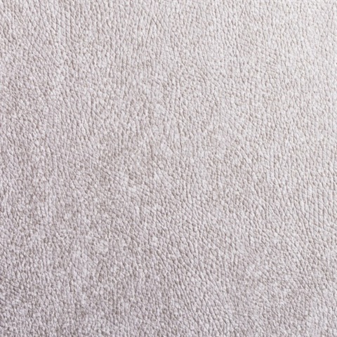 Serpent White Asp Snake Skin