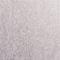 Serpent White Asp Snake Skin