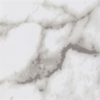 Set In Stone Michelangelo