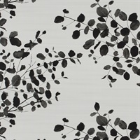 Shadow Leaves Snow Beauty