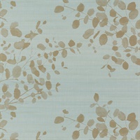 Shadow Leaves Summer Rain