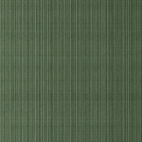 Shadowcast Evergreen