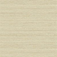 Shantung Silk Warm Neutral & Beige