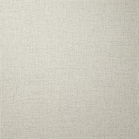 Shennai Texture Silver Charm