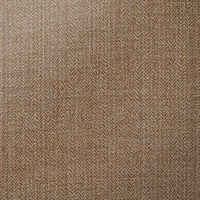 Sherlock Lion's Mane