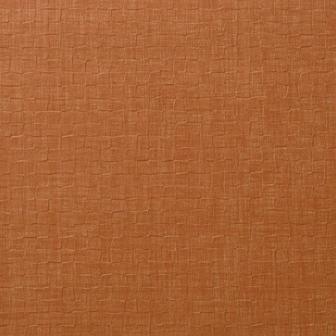 Shift Coral Wall Protection