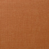 Shift Coral Wall Protection