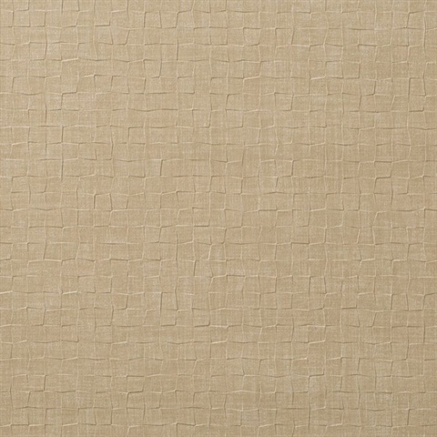 Shift Eggshell Wall Protection