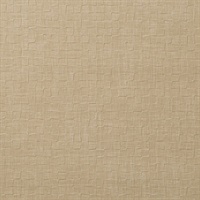 Shift Eggshell Wall Protection