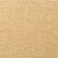 Shift Hazelnut Wall Protection