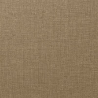 Shift Tawny Wall Protection