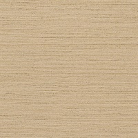 Shima Texture Biscuit