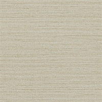 Shima Texture Dovetail