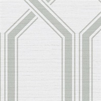 Shima Trellis Lucent Sanctuary