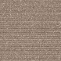 Showers Texture Torrential