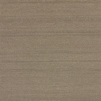 Silk Road Bronze Buddha