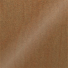 Small Hammered Ceiling Maple