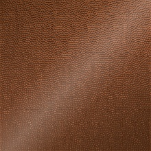 Small Hammered Ceiling New Penny