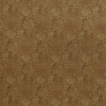 Small Hammered Dimension Wall Aged Gold