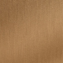 Small Hammered Dimension Wall New Penny