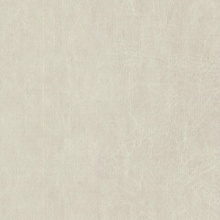 Snowdrift Texture Enchantment