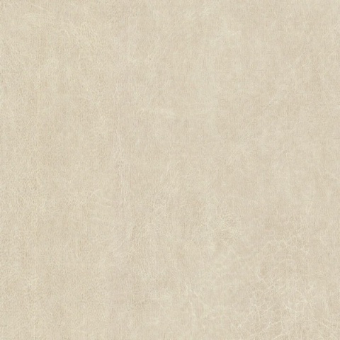 Snowdrift Texture Flurry