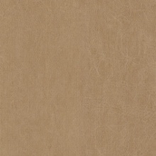 Snowdrift Texture Magic Carpet Ride