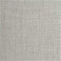 Snyder Coconut Flake