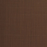 Snyder Spiced Cinnamon