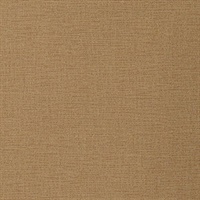 Soraya Coral Shimmer