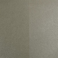 Southwark Weimaraner