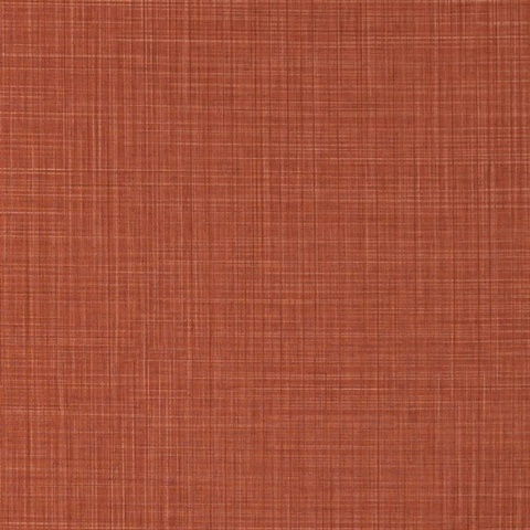 Sparta Alizarin Wall Protection