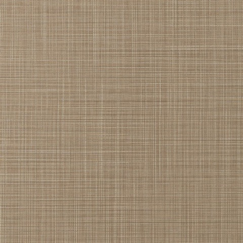 Sparta Ancient Grounds Wall Protection