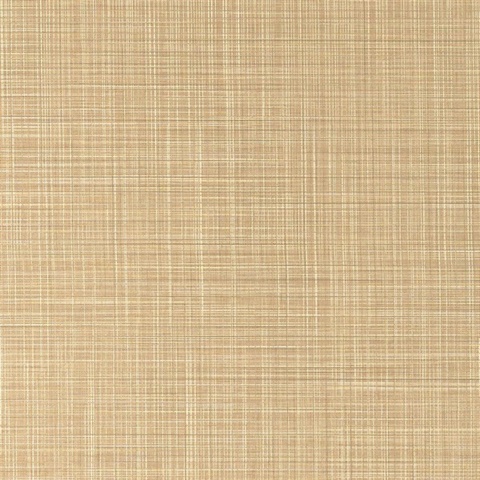 Sparta Blonde Wall Protection