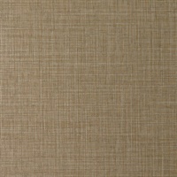 Sparta Caramel Wall Protection