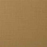 Sparta Clay Wall Protection