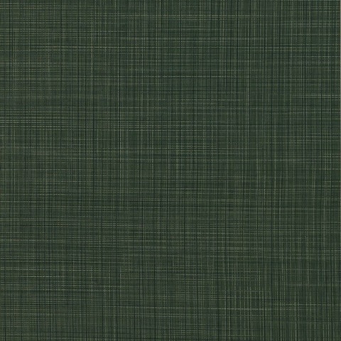 Sparta Evergreen Wall Protection