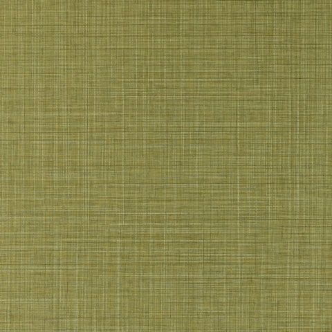 Sparta Fern Wall Protection