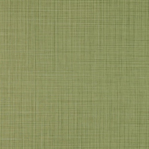 Sparta Lime Wall Protection