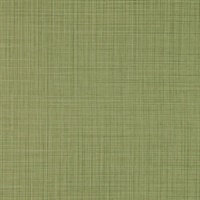 Sparta Lime Wall Protection