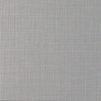 Sparta Shimmer Wall Protection