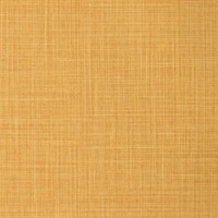 Sparta Spun Gold Wall Protection