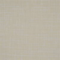 Spartan Candlelight Wall Protection