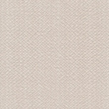 Specify Canvas Weave CFY-4273